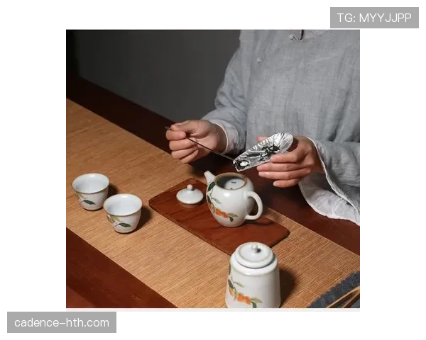 加克波盘带风格解析